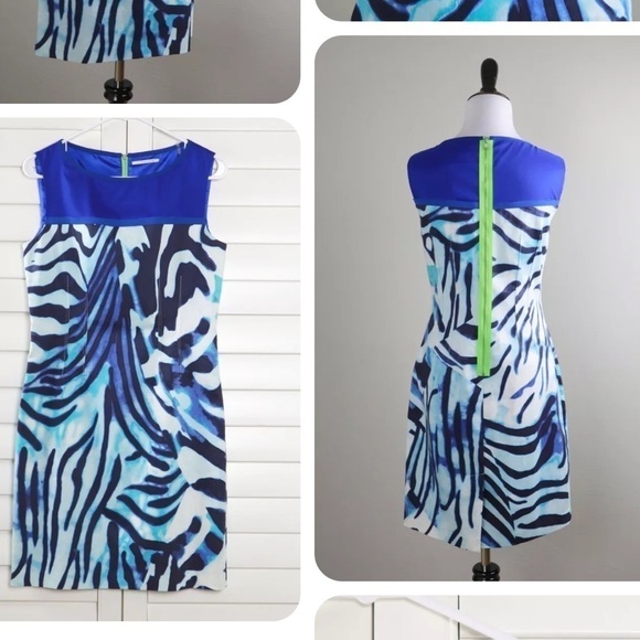 ⭐️T Tahari,Shira, Neon Trim,Zebra Striped Dress, Gorgeous, Fun,Funky & Fabulous! - Picture 3 of 9